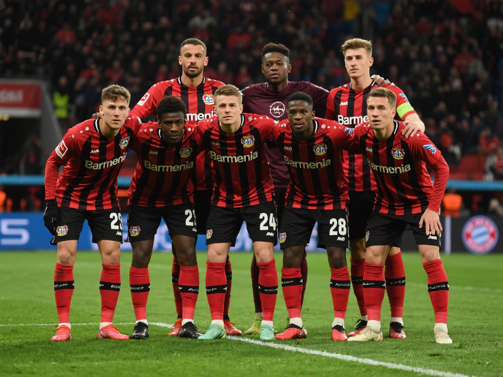 开云中国引 开云中国引